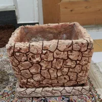 گلدان|گل و گیاه طبیعی|تهران, جی|دیوار