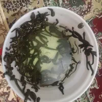 زالوصیدی روز