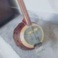 کمانچه بسیار قدیمی