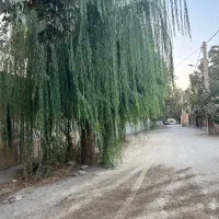 ۴۷۰ متر ویلا|فروش خانه و ویلا|هشتگرد, تهران دشت|دیوار