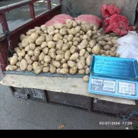 موتور۳چرخ فروشی