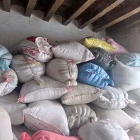 قره دانه سیاه دانه توخوملیخ