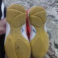 کفش ورزشی نو