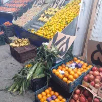 کارگر میوه فروشی