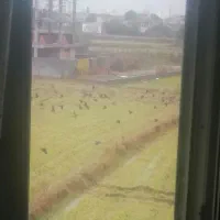 آپارتمان 80 متری