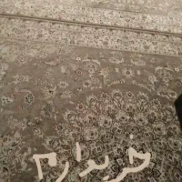 فرش شش متری