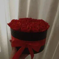 گل جاودان|گل و گیاه طبیعی|ساوه, |دیوار