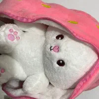 عروسک های کاملا نو