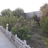 باغبانی.|خدمات باغبانی و درختکاری|شوشتر, |دیوار
