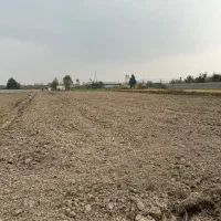 زمین-با-سند-تک-برگ-با-موقعیت-تجاری