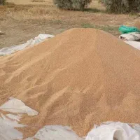 گندم..سبوس..ذرت برزیل