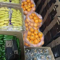 پک پذیرایی ختم ترحیم،میوه،دفاعیه،جعبه،بسته|خدمات پذیرایی، مراسم|تهران, نظامی گنجوی (توانیر)|دیوار