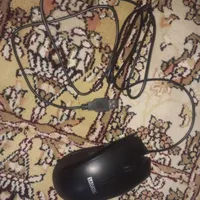 موس نو
