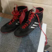 کفش کشتی|کیف، کفش، کمربند|رباط‌کریم, رباط‌کریم|دیوار