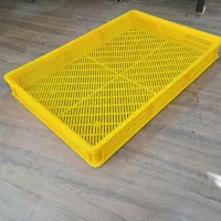 تولید و پخش سبد میوه خشک کنی