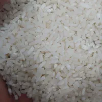 لاشهبرنجهاشمی ..نیمدانه وریزهسورتینگشده|خوردنی و آشامیدنی|کوچصفهان, |دیوار