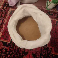 بذر یونجه مارال پایه بلند همدان