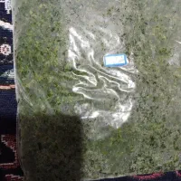 فروش انواع سبزی