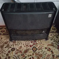 بخاری بزرگ ایران کارتوس