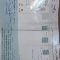 X22. دنده ای مدل 1402|خودرو سواری و وانت|بندر ماهشهر, |دیوار