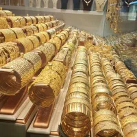 بیشن و تجربه|فعالیت داوطلبانه تحقیقاتی|تهران, امانیه|دیوار