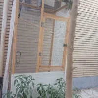 قفس چوبی سالم مخصوص پرنده