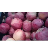 سیب قرمز ارگانیک