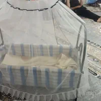 گهواره|اسباب و اثاث بچه|نورآباد, |دیوار