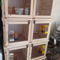 توری جفتگاه|لوازم جانبی حیوانات|شیروان (خراسان), |دیوار