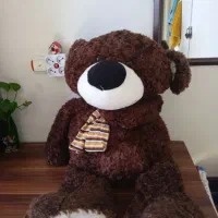 خرس شاسخین