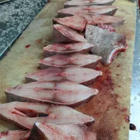 کارگر مرغ وماهی