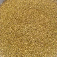 فروش بذریونجه پایه بلند