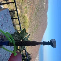 تک خواب جکوزی در اربکله