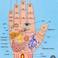 درآمدزایی باگوشی  ویژه بانوان