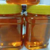 عسل طبیعی کردستان|خوردنی و آشامیدنی|کاشان, فاز ۲ ناجی آباد|دیوار