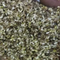 ضایعات برنج