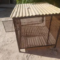 قفس مرغ،جنس محکم ودست ساز|لوازم جانبی حیوانات|گوآور, |دیوار