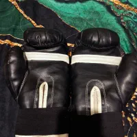 دستکش بوکس|تجهیزات ورزشی|مشهد, شهرک بهارستان|دیوار