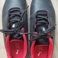 کتونی پوما اورجینال