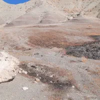 زمین کشاورزی..قیمت توافقی|فروش زمین و ملک کلنگی|سیوان, |دیوار