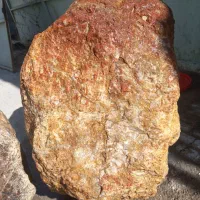 سنگ عقیق شجر دریایی