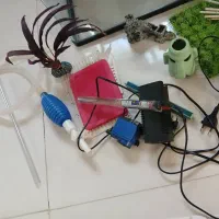 آکواریوم|ماهی|کرج, کلاک نو|دیوار