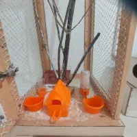 قفس|لوازم جانبی حیوانات|مشهد, میان ولایت|دیوار