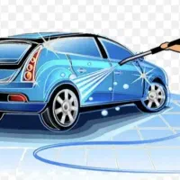 نیروی کار در کارواش