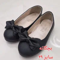 کفش|کیف، کفش، کمربند|رشت, دیلمان|دیوار