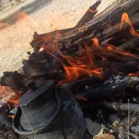 لطفا توجه کنید