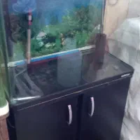 آکواریوم ماهیران mc600 با میز