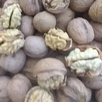 گردو خشک  مغز سفید درجه یک