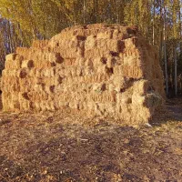 فروش کولش بسته بندی