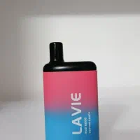 پاد LAVIE Box 6000
